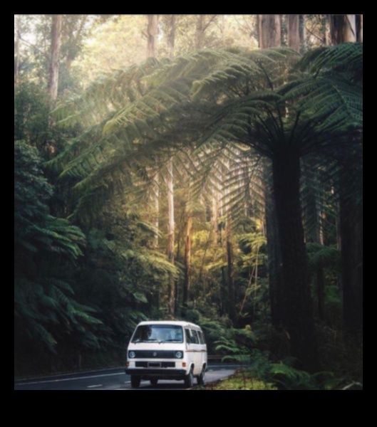 Dincolo de jungla urbană: aventuri cu furgonete în peisaje îndepărtate