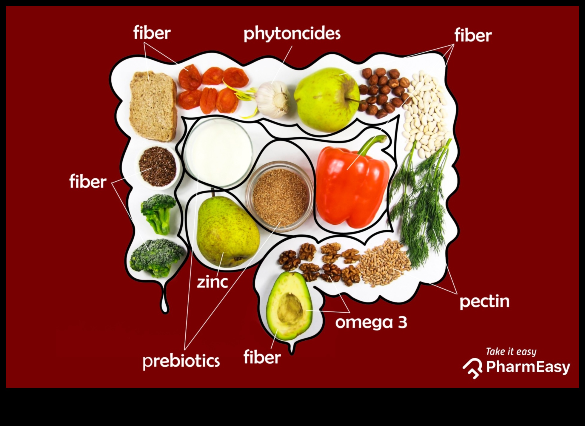 Dietele bogate în proteine ​​și sănătatea intestinală: o relație simbiotică