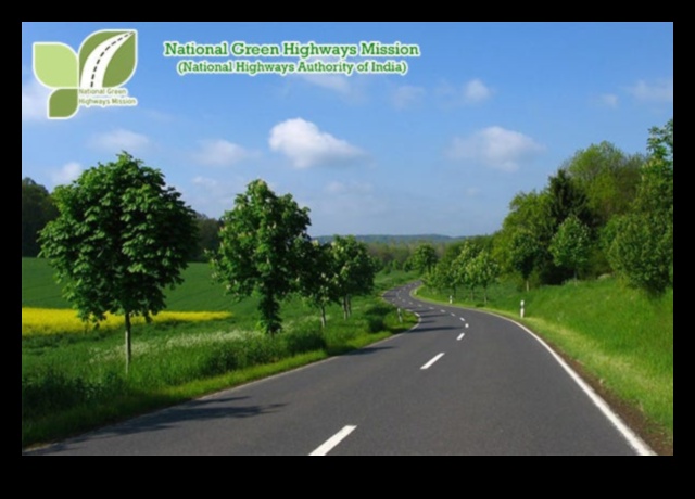 Autostrăzi verzi: Croazieră cu conștiință de mediu în vehiculele electrice